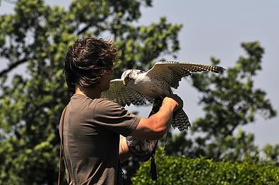 Mann mit Adler am Arm