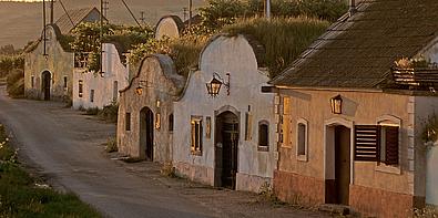 Kellergasse, Zöbing, Waldviertel Österreich