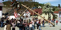 Bild von geschmücktem Maibaum, den mehrere Menschen gemeinsam aufstellen