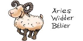 Widder, Aries, Bélier, Zeichnung