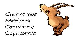 Das Tier Steinbock als Zeichnung. Links daneben das Wort Steinbock, Capricornus, Capricorne, Capricornio