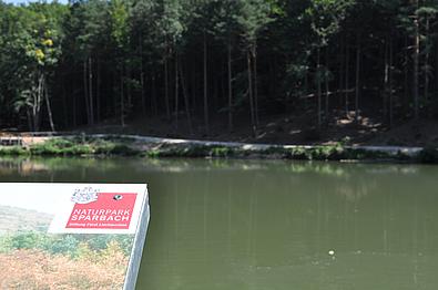 Teich im Naturpark Sparbach im Wienerwald