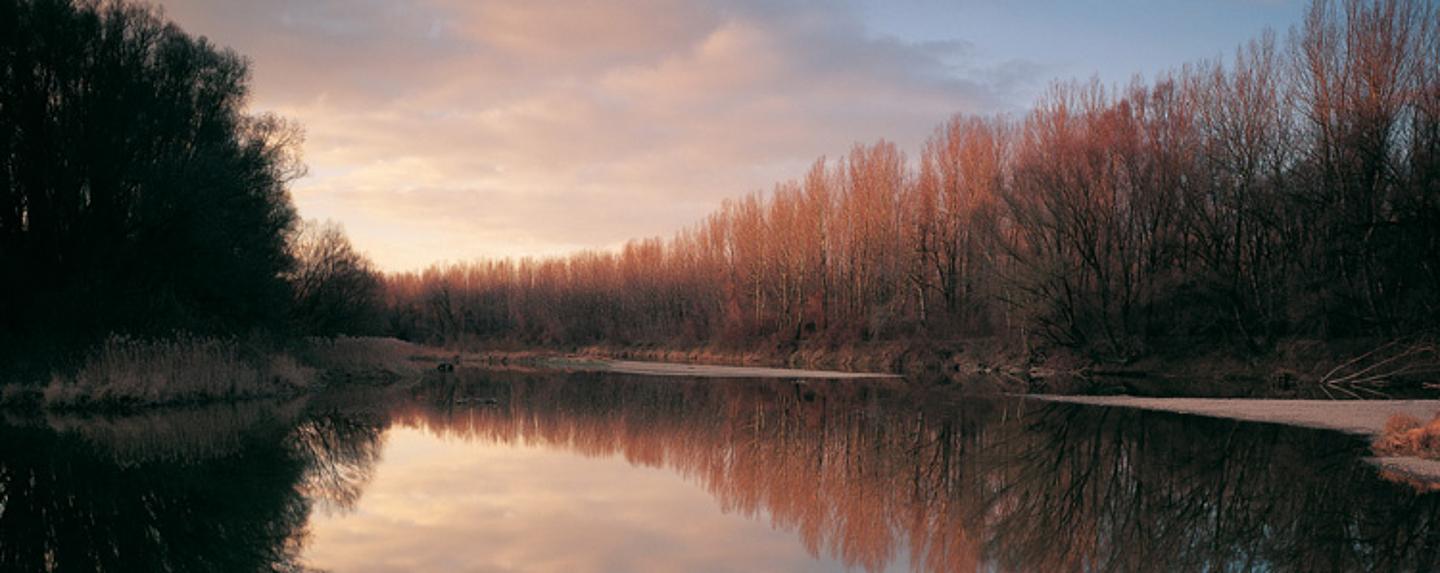 Donauau in der Dämmerung