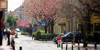 Reindorfgasse beim Gasthaus zum Quell und dem Café Reindorf.