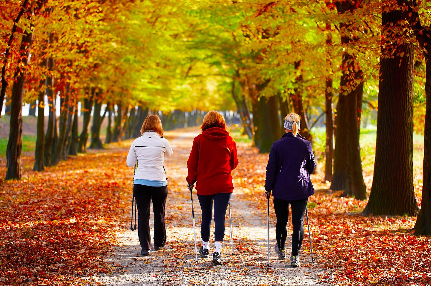 Nordic Walker im Wald