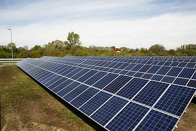 Solarkraftwerk mit 4 langen Reihen Solarpaneele auf einer Wiese des Solarkraftwerkes in der Donaustadt Wien