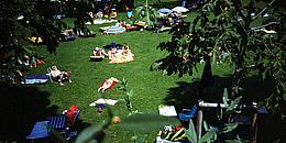 Strandbad Alte Donau: Grünstreifen mit Sonnenbadenden. 