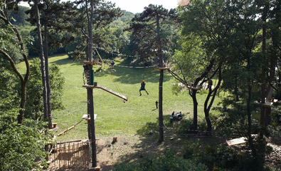 Waldseilpark Kahlenberg, Panorama