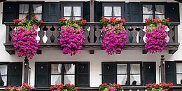 Fassade mit Balkonfront im Bauernhausstil mit roten und violleten Balkonblumen.