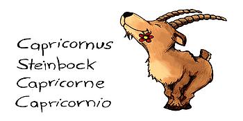 Steinbock mit Blume im Maul gezeichnet, Schrift links Capricornus, Steinbock, Capricorne, Capricornio