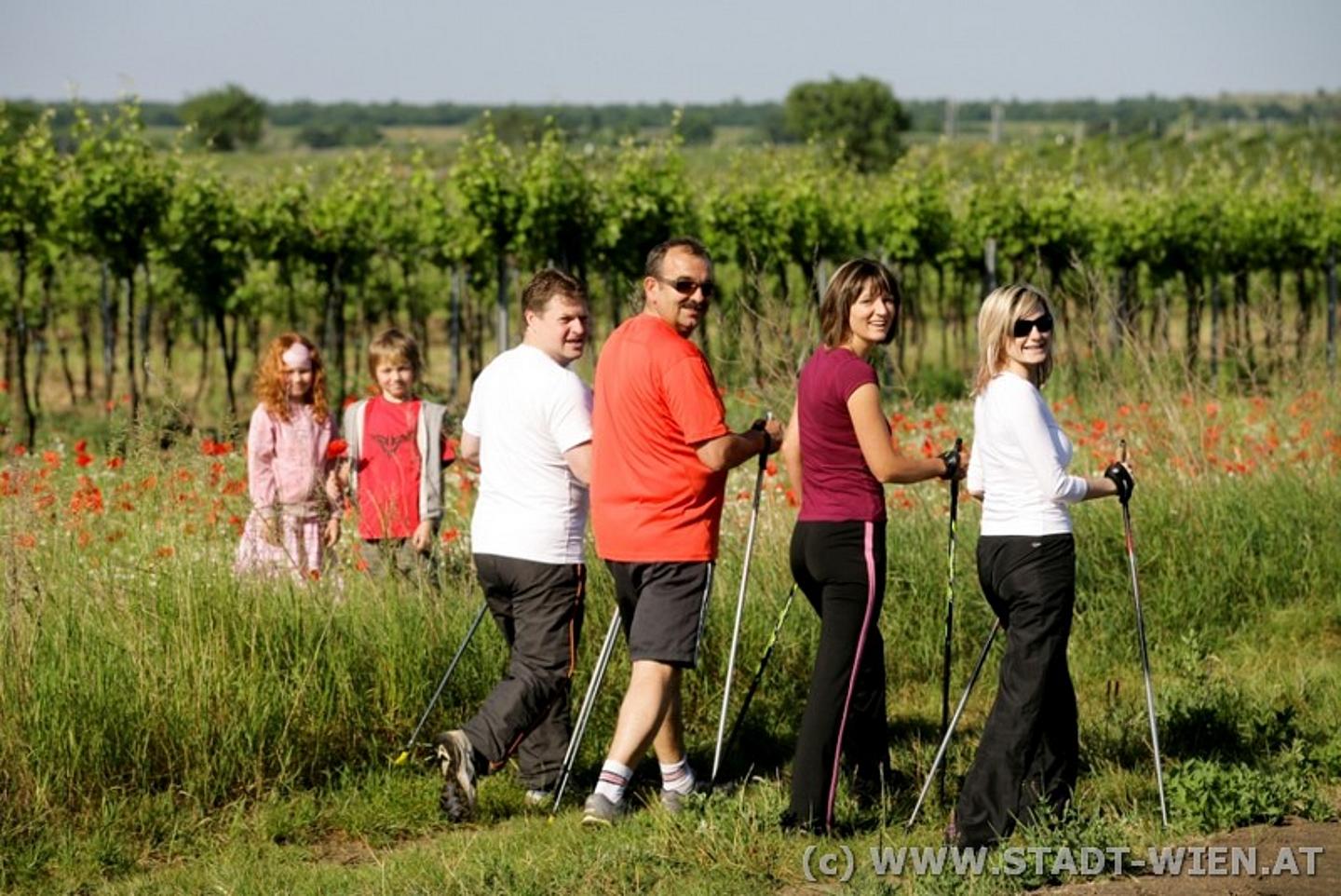 Eine Gruppe Walker in Weinbergen