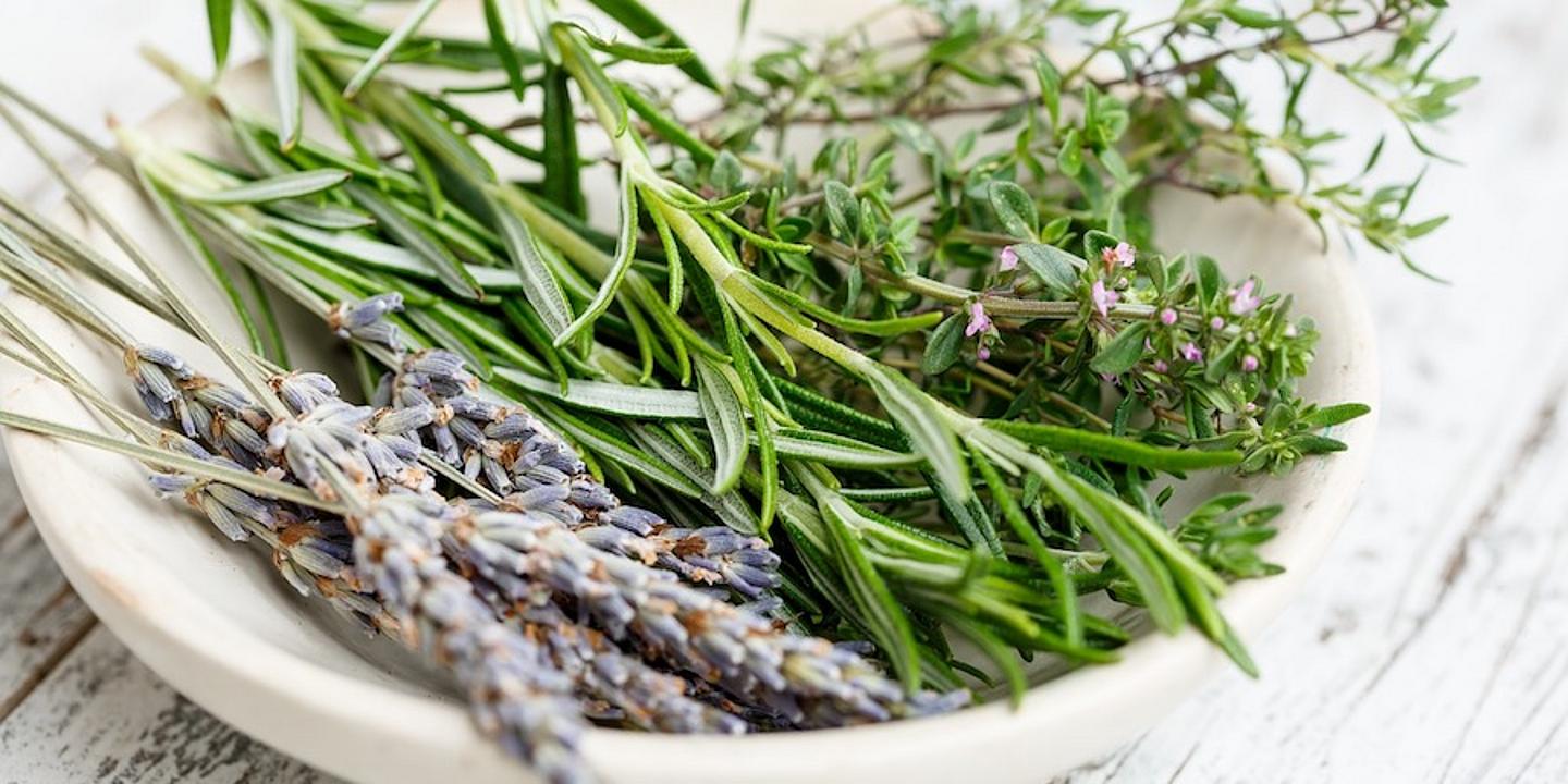 Kräuter, Lavendel, Rosmarin, Thymian, Schüssel, Holz