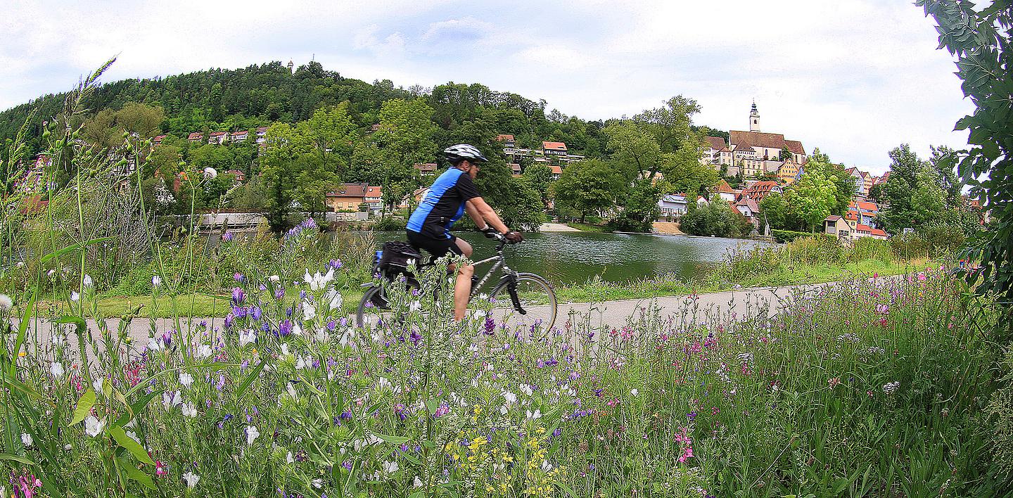 Ein Radfahrer auf einem Weg umgeben von Blumen