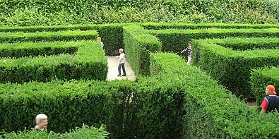 Ein Labyrinth aus grüner Hecke