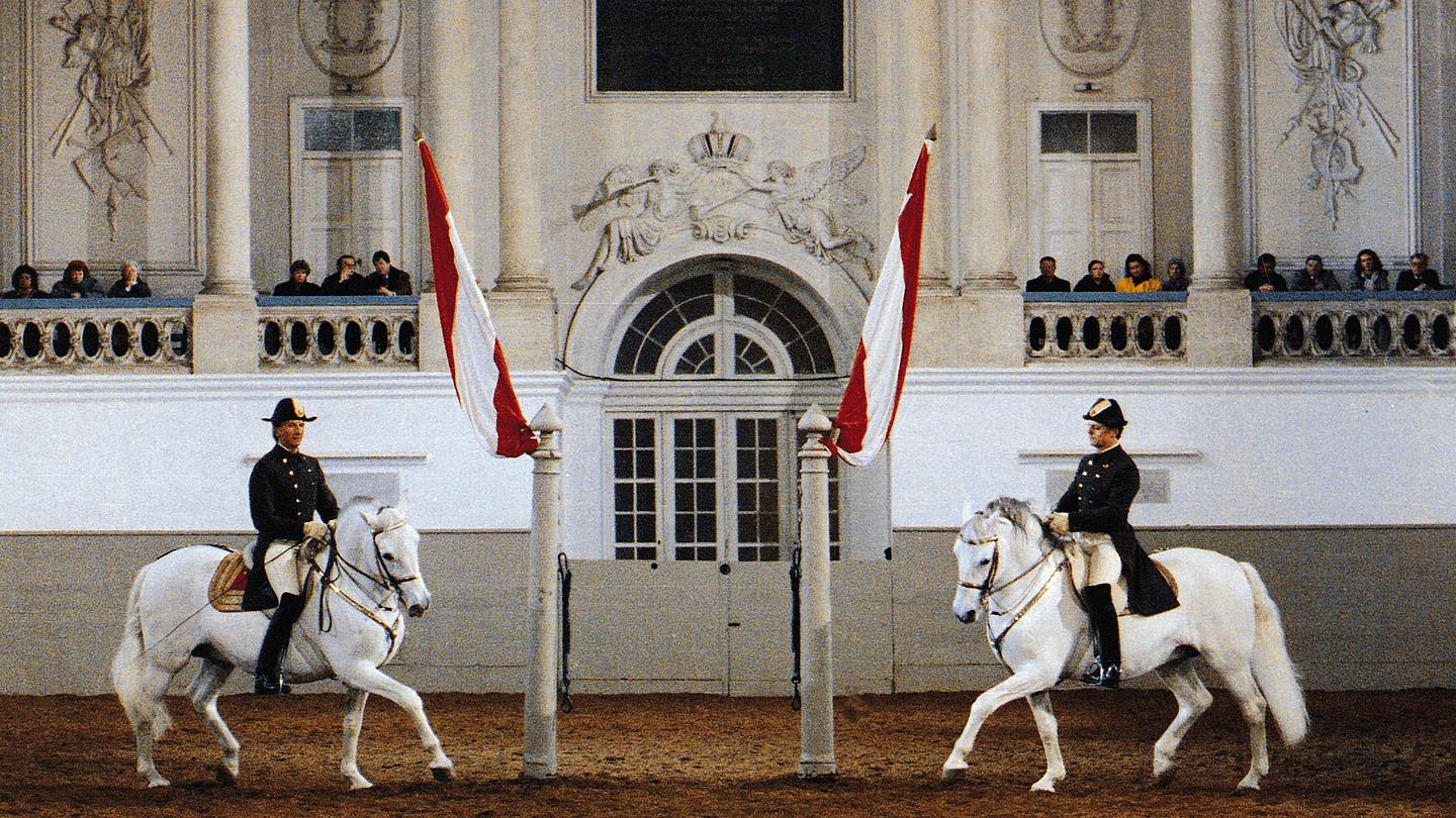 Zwei Bereiter reiten mit ihren Lipizzanern ein Pas de Deux.