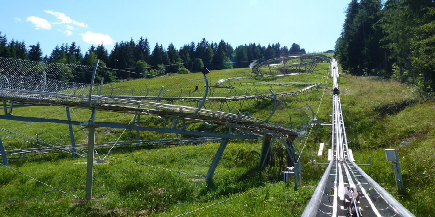 Sommerrodelbahn, eine Strecke am Berg, viel Wald