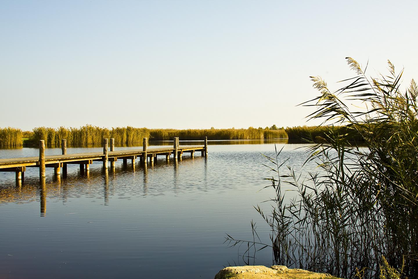 Der Neusiedler See mit Steg an einem sonnigen Tag