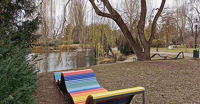 Am Ufer eines Gewässers ist eine stark gewellte Liegefläche aus Holz, die in allen Regenbogenfarben bemalt ist, während etwas weiter hinten ein sich gabelnder Baumstamm zu sehen ist.