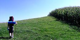 Ein Wanderer mit Rucksack auf einer Wiese