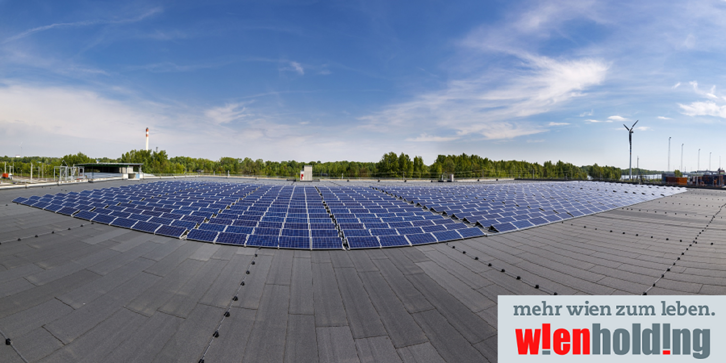 Photovoltaikanlage am Boden