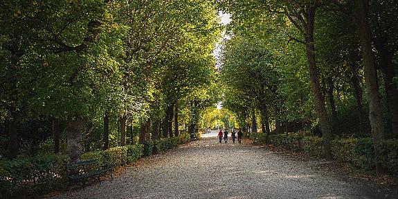 Menschen die in Wien durch die Stadt wandern