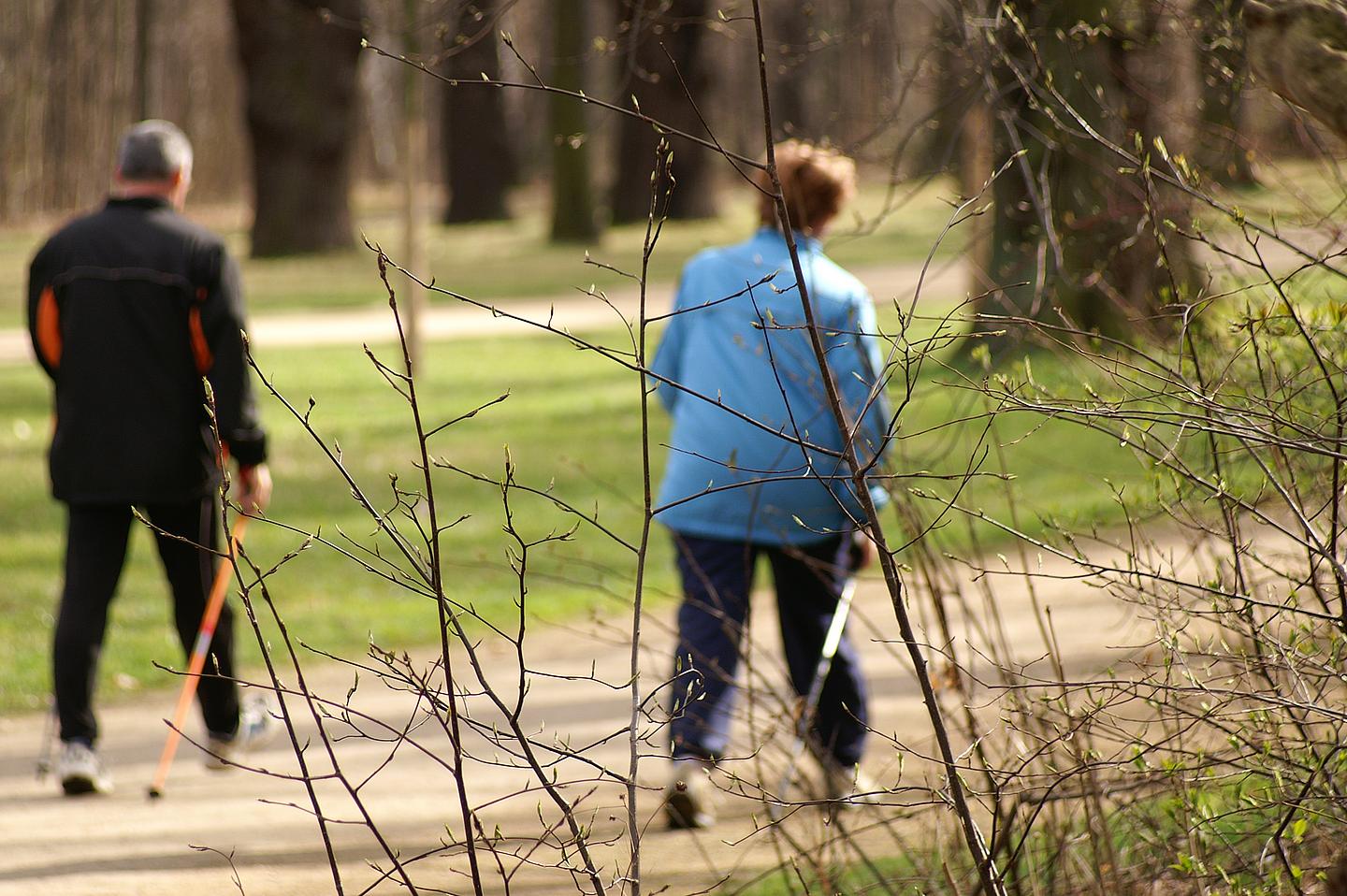 2 Personen mit Gehstöcken im Wald