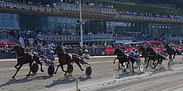 Pferderennen, im Hintergrund Trabrennbahn Krieau