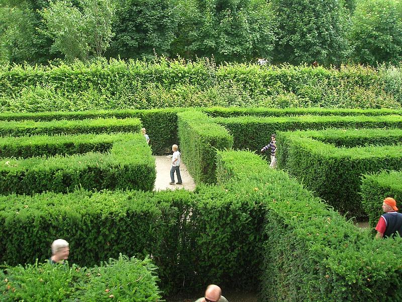 Kinder laufen im grünen Irrgarten herum