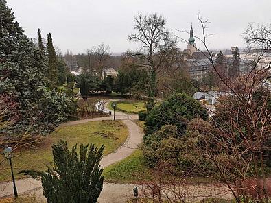 Ein Ausblick über mehrere Wege, die sich durch eine grüne Wiese und mehreren Büschen und Bäume schlängeln, während an einer Weggabelung eine Straßenlaterne steht.