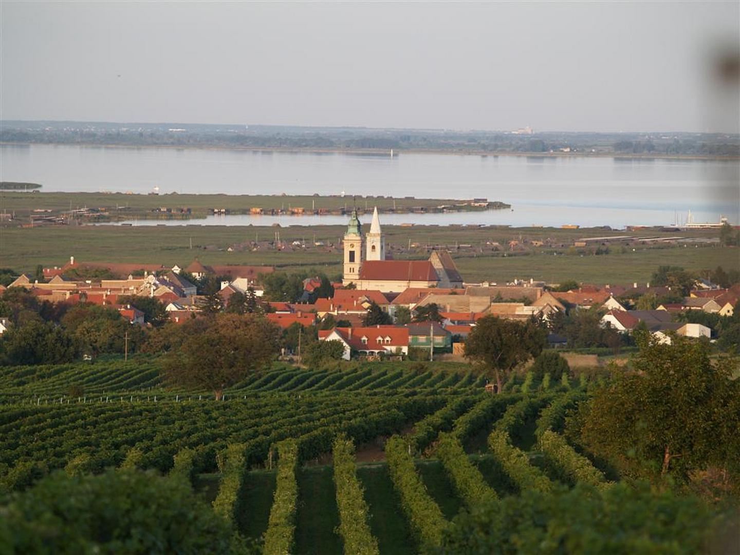 Ein Weingut mit Ausblick auf den Neusiedler See