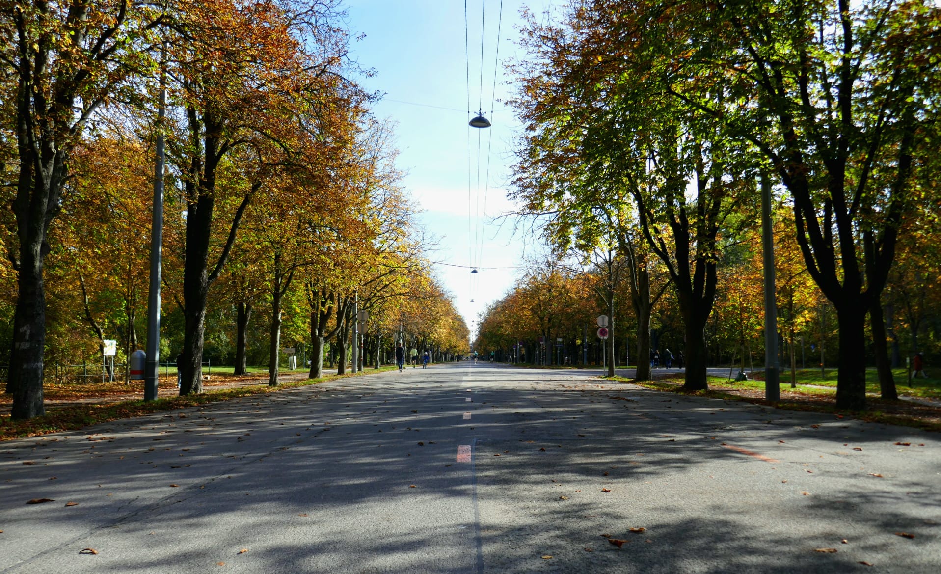 Allee im Prater entlang des Stadtwanderweg 9