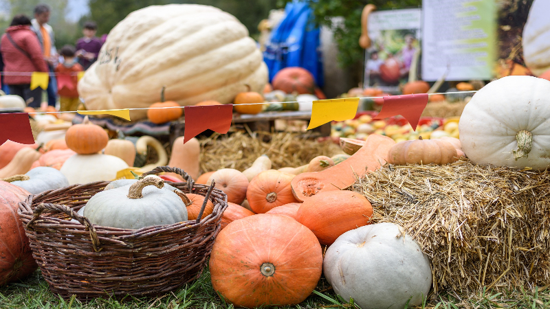 Kürbisse liegen auf einem Strohballen während eines Herbstfests