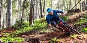 Mountainbiker im Wienerwald