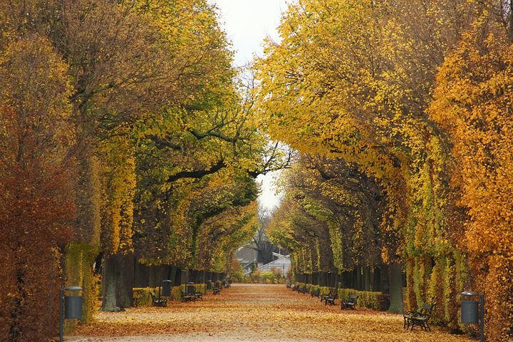 herbstlicher Spaziergang in den Steinhofgründen