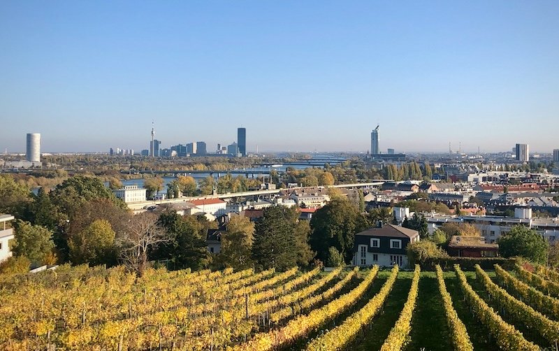 Landschaftsfoto von Döbling, Wien. Weinberge, dahinter Wien-Panorama.