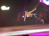 130109speed_holiday_ice055_0