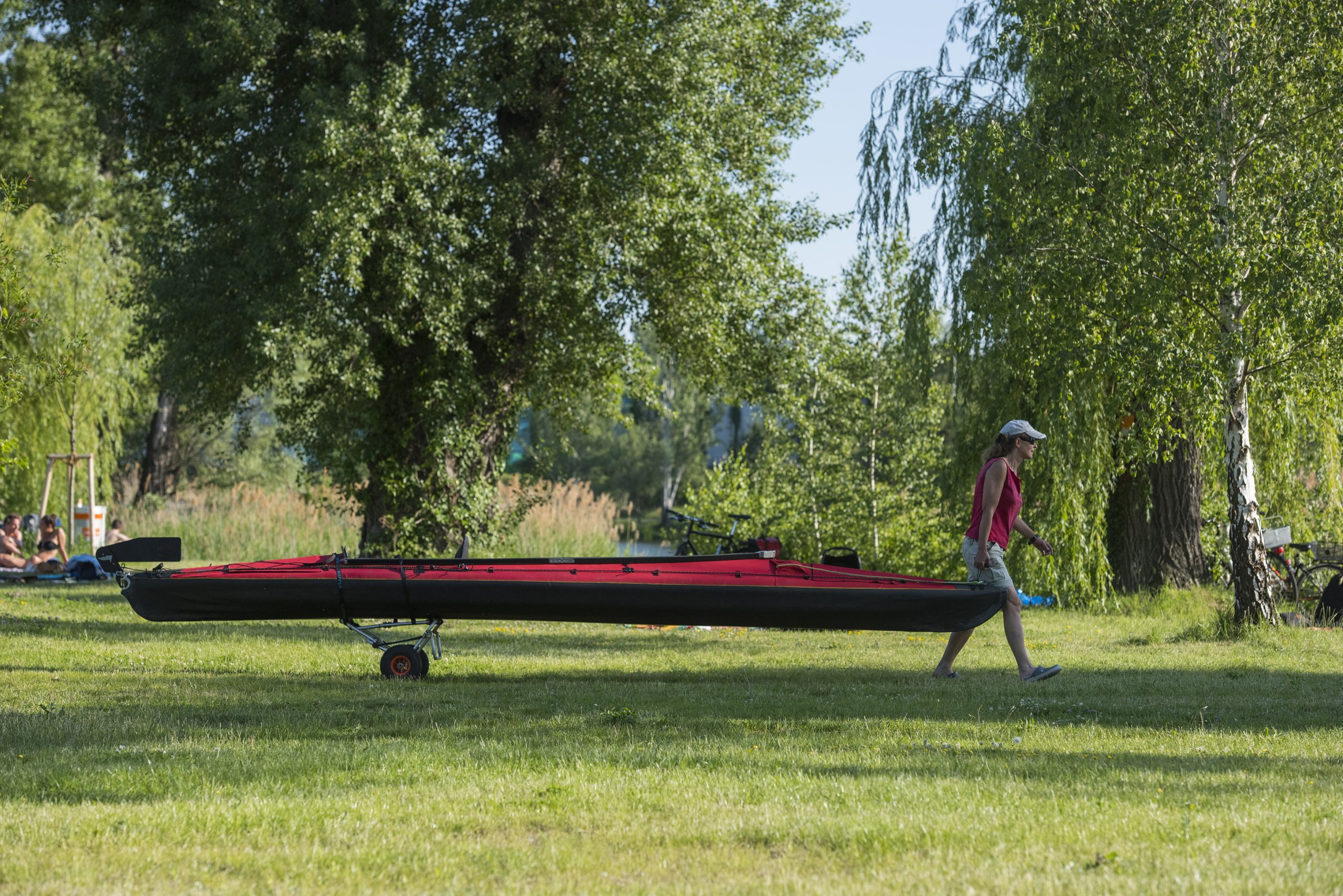 Alte Donau: Konsumfreie Liegeflächen: ArbeiterInnenstrand und Strombucht Copyright: (c) Wiener Wildnis 