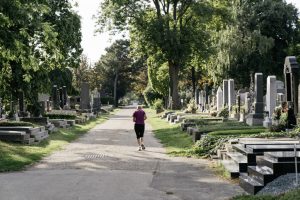 Zentralfriedhof / Central Cemetry © WienTourismus/Gregor Hofbauer